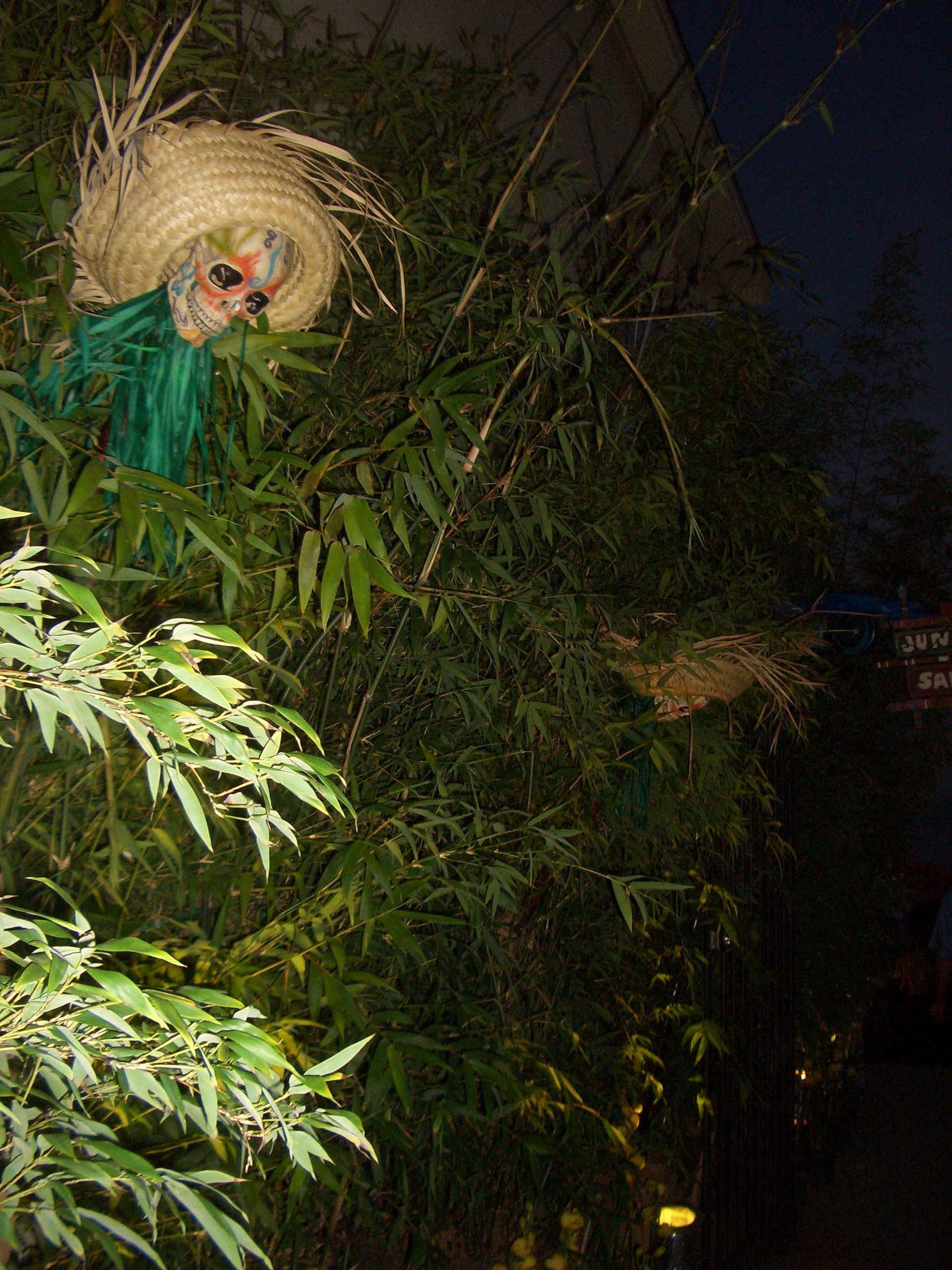 Decorative painted skull with sombrero in bamboo foliage at night for a Las Vegas themed event